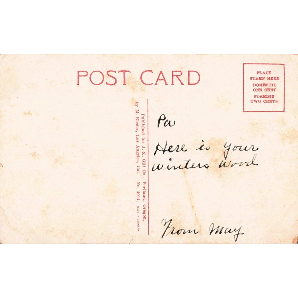 Vintage Oregon Big Stick Logging Postcard J.K. Gill Co M. Rieder Germany No 4014 - Picture 2 of 2